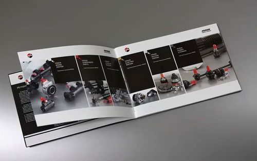 畫冊(cè)版式設(shè)計(jì)欣賞 圖文之間的藝術(shù)制作